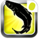 开云精品世界|精品档案